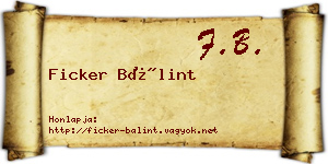 Ficker Bálint névjegykártya