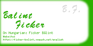 balint ficker business card